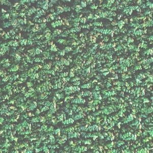 Meet your Posher, Abigail paige